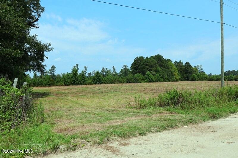 6609 Strickland Road Green Sea, SC 29545 - Photo 8 of 14
