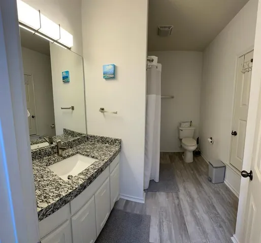 a bathroom with a granite countertop sink toilet and shower