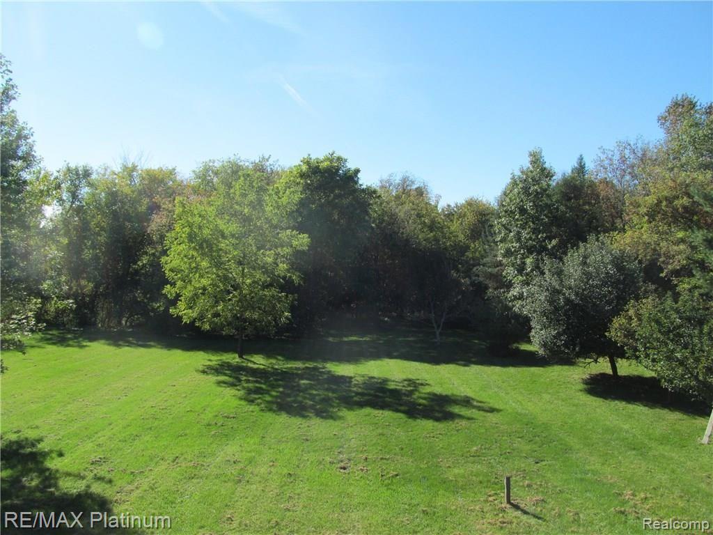 11666 Merrill Road Whitmore Lake, MI 48189 - Photo 6 of 26 View from the Master Bedroom Balcony