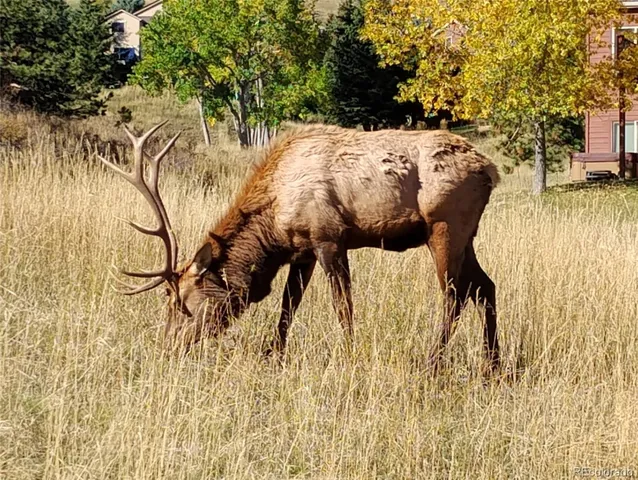 $449,900 | 23674 Pondview Place, Unit B, Golden, CO 80401