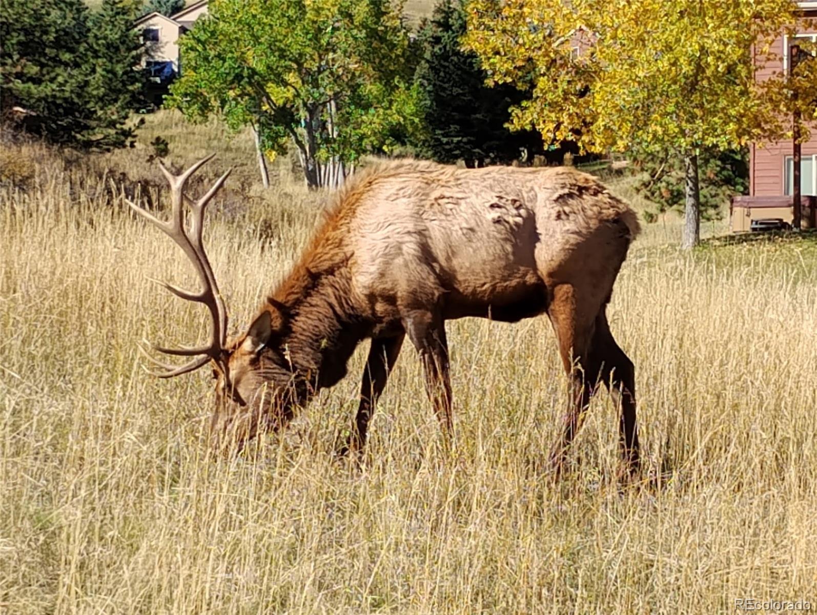 23674 Pondview Place, Unit B Golden, CO 80401 - Photo 35 of 35 a view of outdoor space with seating area