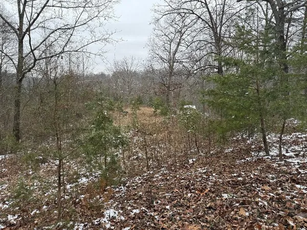 $40,000 | 0 Whetstone Road, Greenup, KY 41144