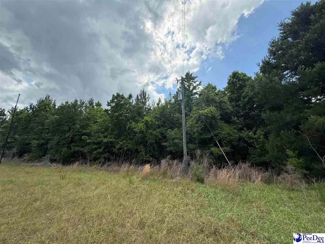 New Farm Road Hemingway, SC 29554 - Photo 15 of 17 Gallery Image 15