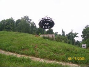 113 Simmons Ridge Johnson City, TN 37604 - Photo 1 of 2 Photo 1