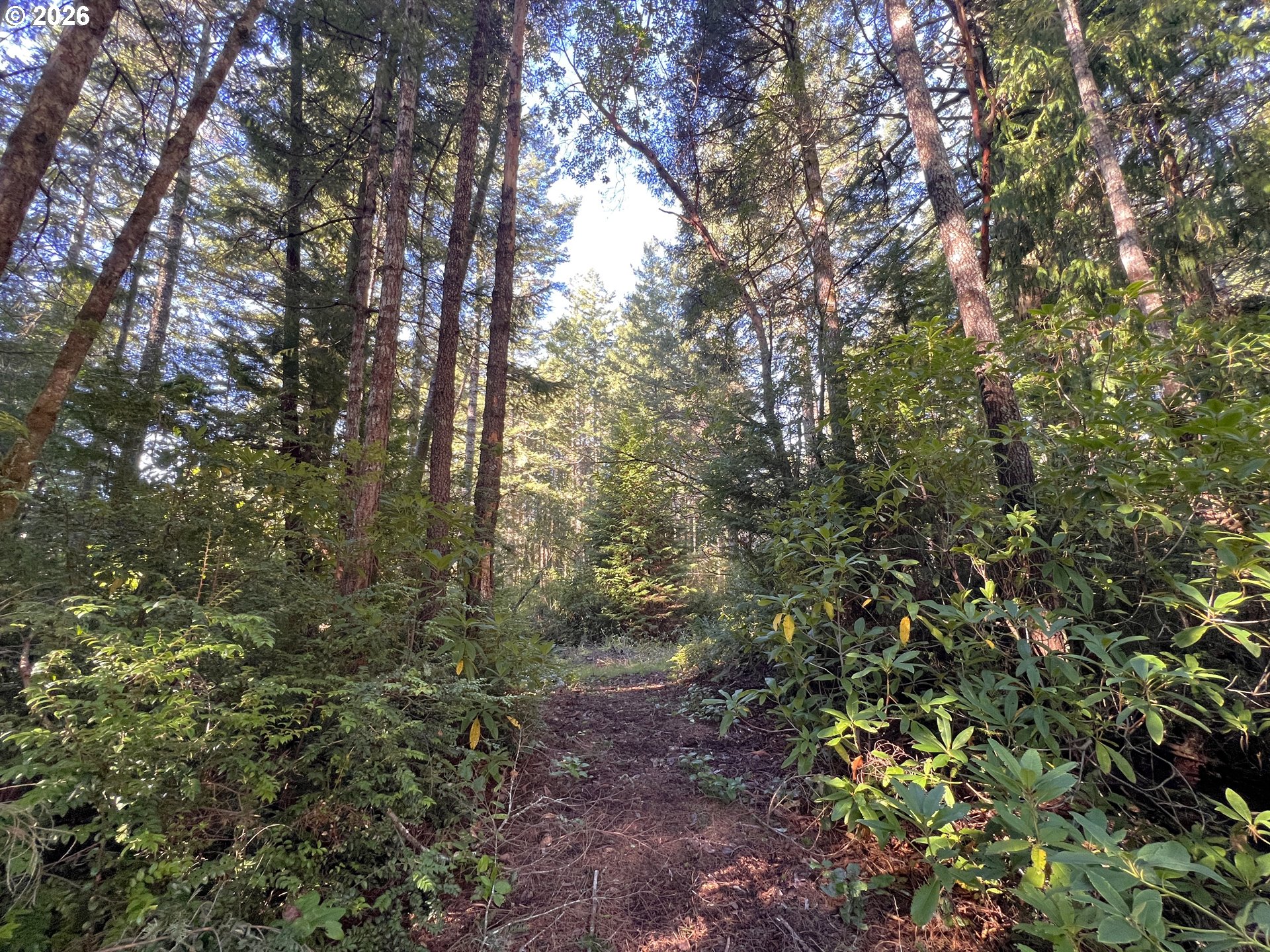 55769 Prosper Jct Road Bandon, OR 97411 - Photo 3 of 30