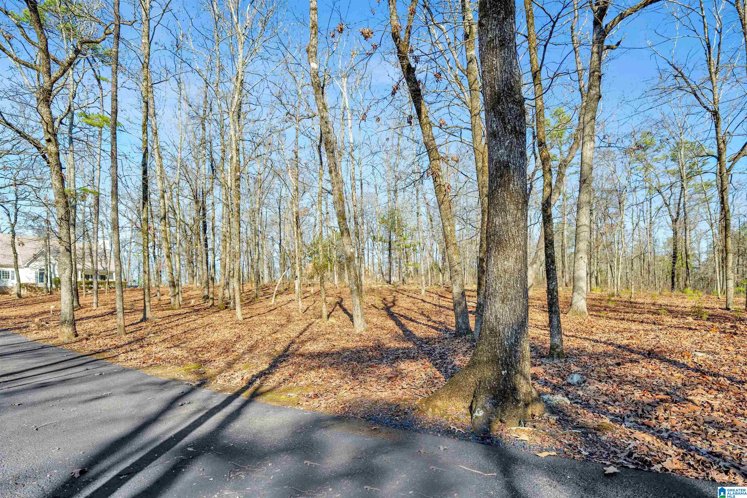 150 Chestnut Drive Alabaster, AL 35007 - Photo 4 of 61
