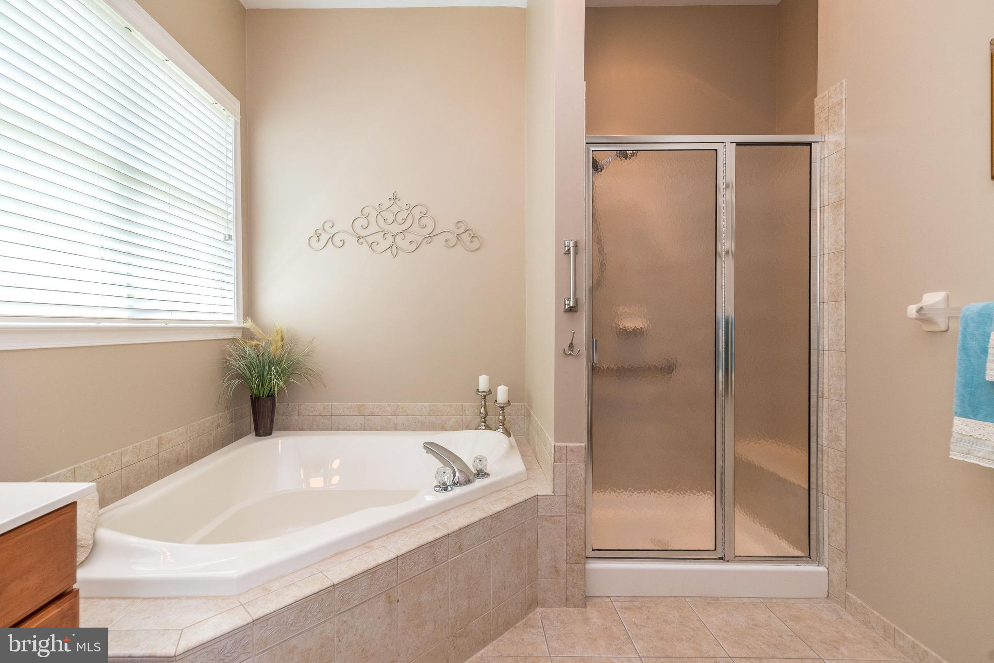 39 Nathaniel Road Holland, PA 18966 - Photo 29 of 66 Soaking Bathtub & Shower