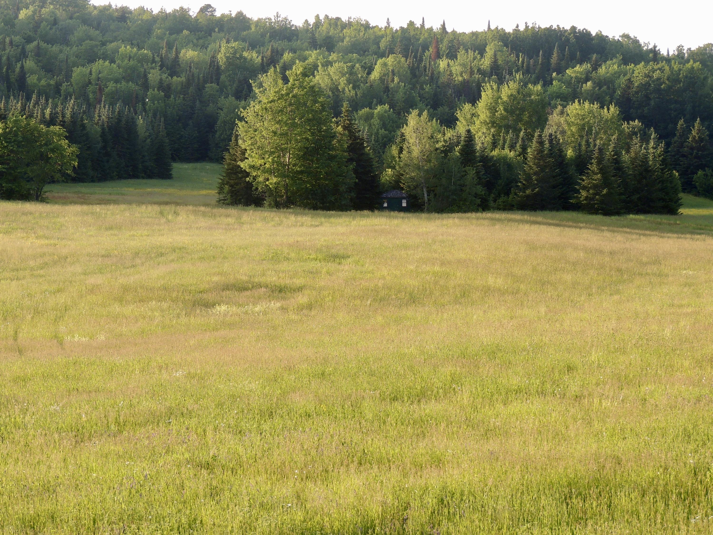 Map7-lot7 West Chapman Road Mapleton, ME 04757 - Photo 11 of 35 fullsizeoutput_ce