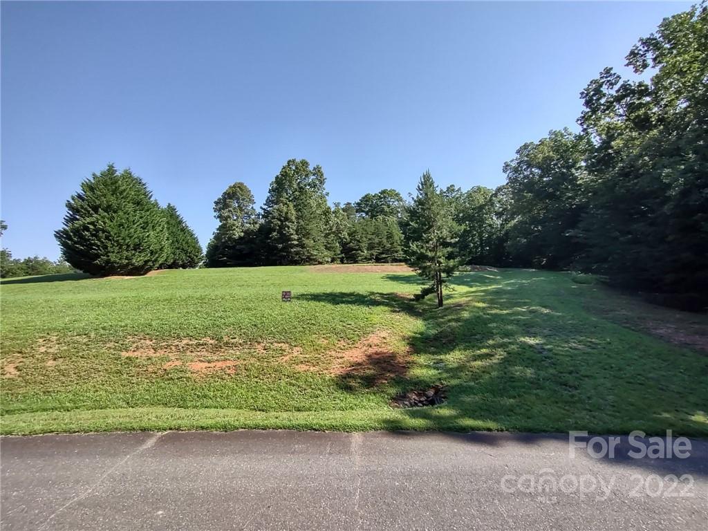 216 Emerald Parkway Rutherfordton, NC 28139 - Photo 3 of 16
