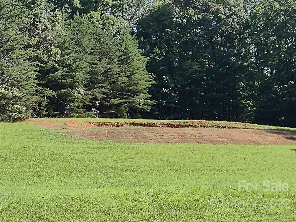 216 Emerald Parkway Rutherfordton, NC 28139 - Photo 5 of 16