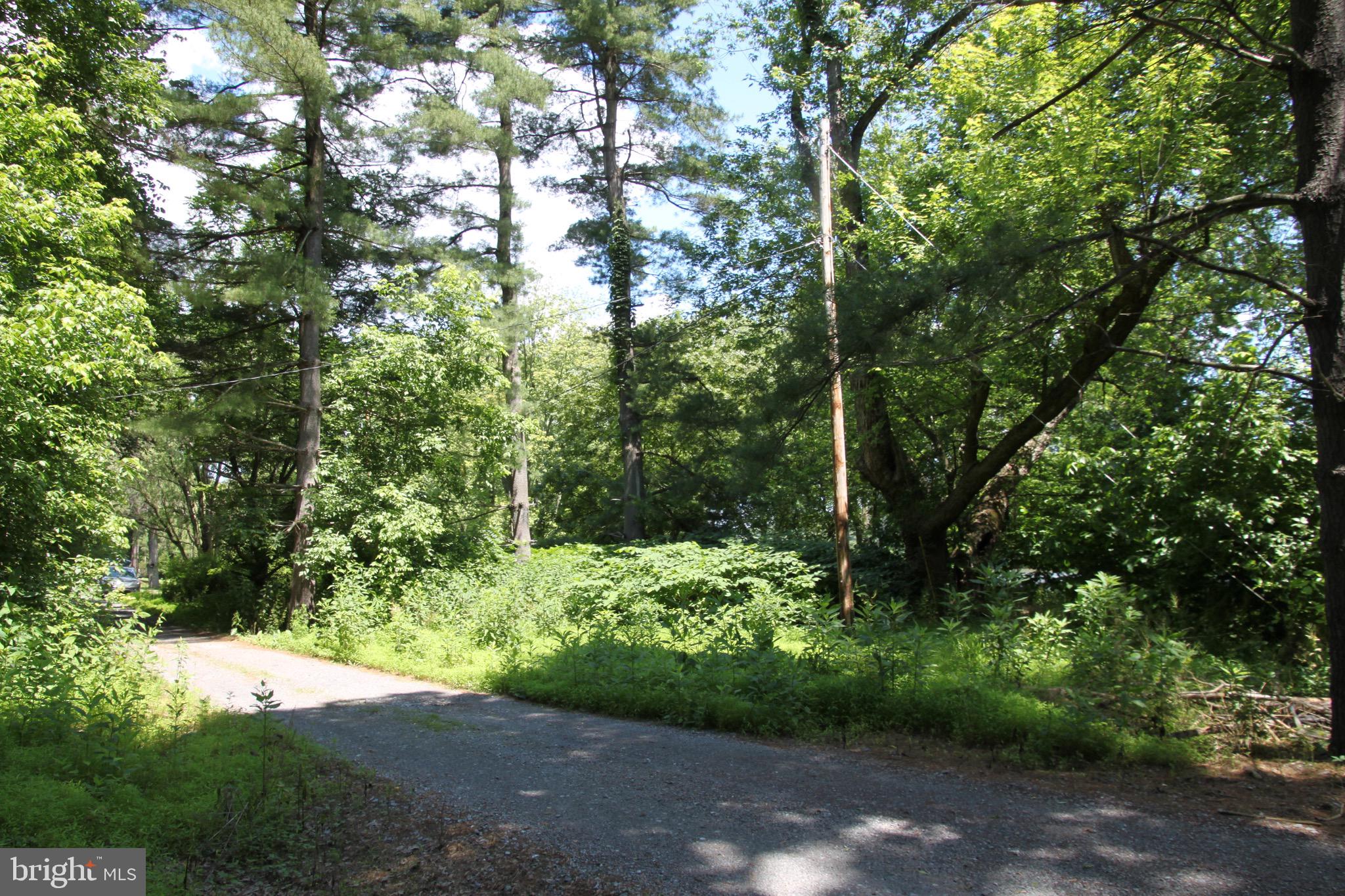 Vineyard Road, Unit 3 Falling Waters, WV 25419 - Photo 11 of 14 Potomac frontage