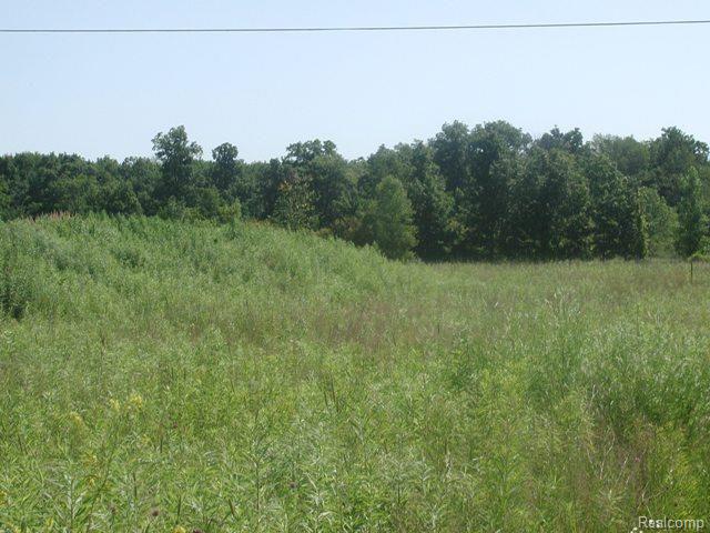 Vacant North Elba Road Lapeer, MI 48446 - Photo 5 of 7 Vacant Elba Road