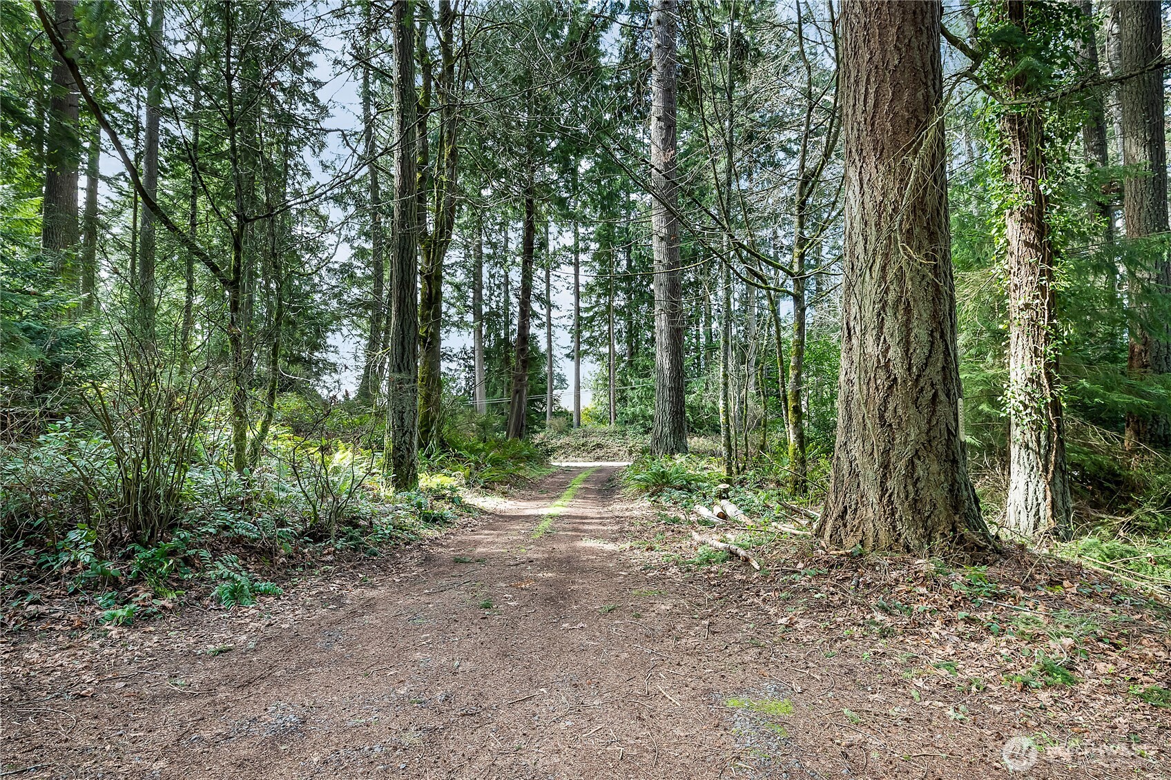 29620 Parcells Road Northeast Kingston, WA 98346 - Photo 16 of 27 Gallery Image 16