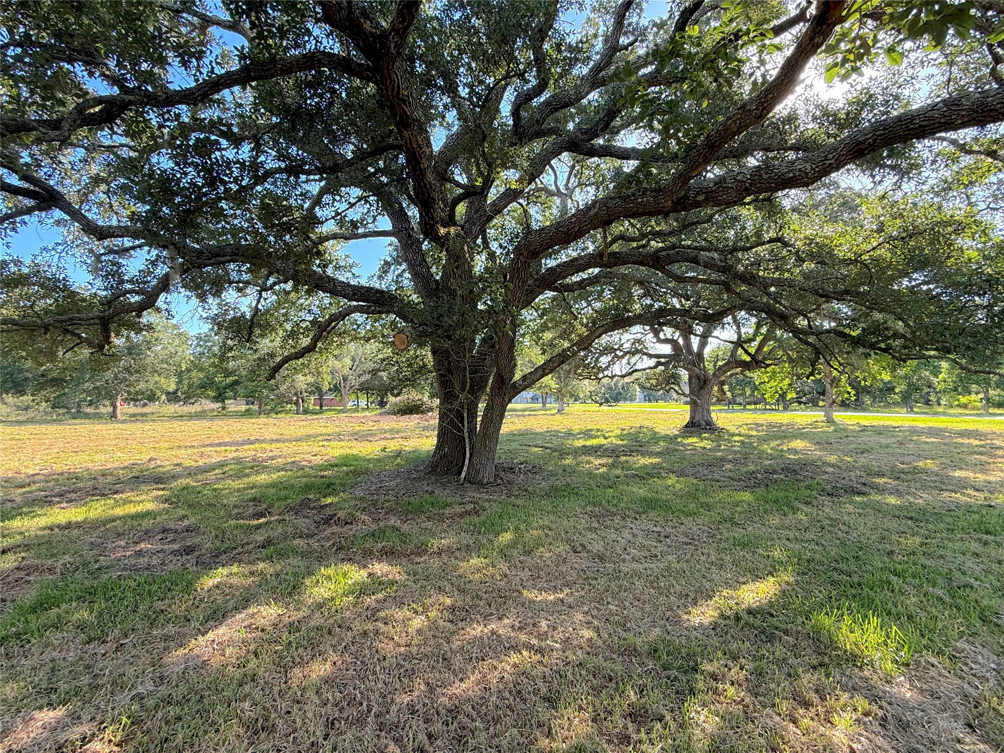 0 Brock Road West Columbia, TX 77486 - Photo 6 of 6