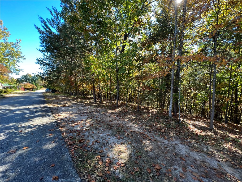 205 Long View Court Pickens, SC 29671 - Photo 11 of 19 Gallery Image 11