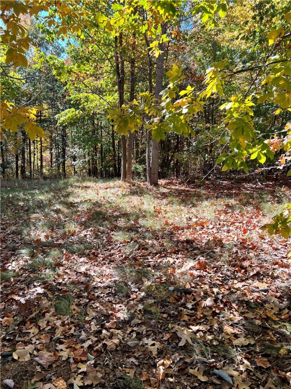 205 Long View Court Pickens, SC 29671 - Photo 8 of 19 Gallery Image 8