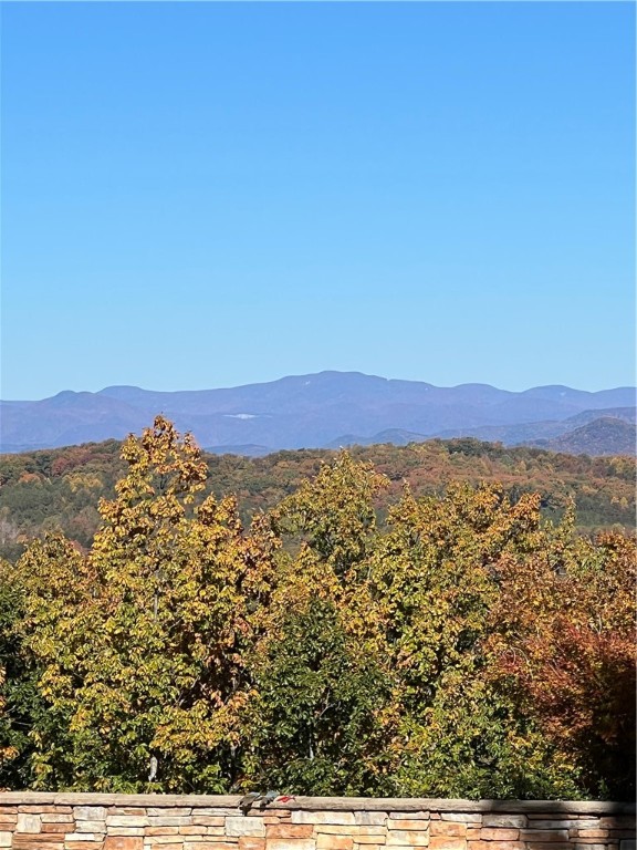 205 Long View Court Pickens, SC 29671 - Photo 9 of 19 Gallery Image 9
