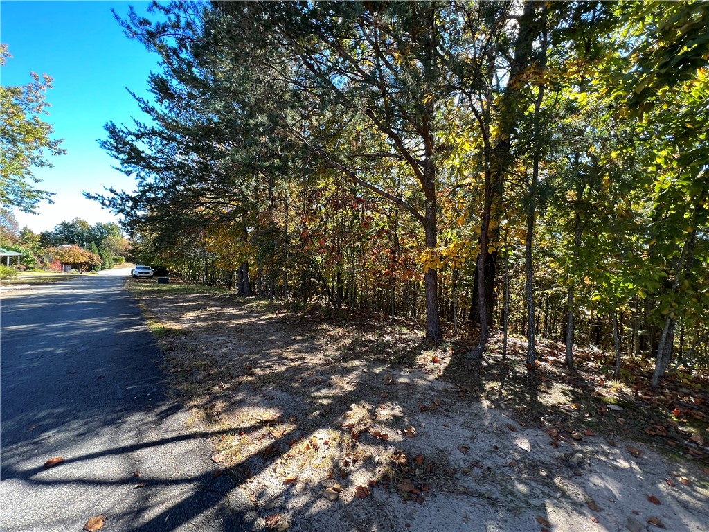 205 Long View Court Pickens, SC 29671 - Photo 10 of 19 Gallery Image 10