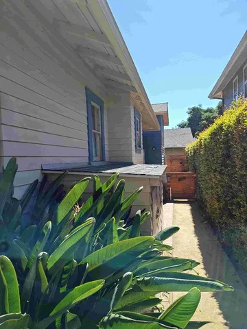 a view of a backyard with plants