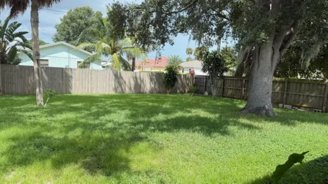 a view of a backyard with a tree
