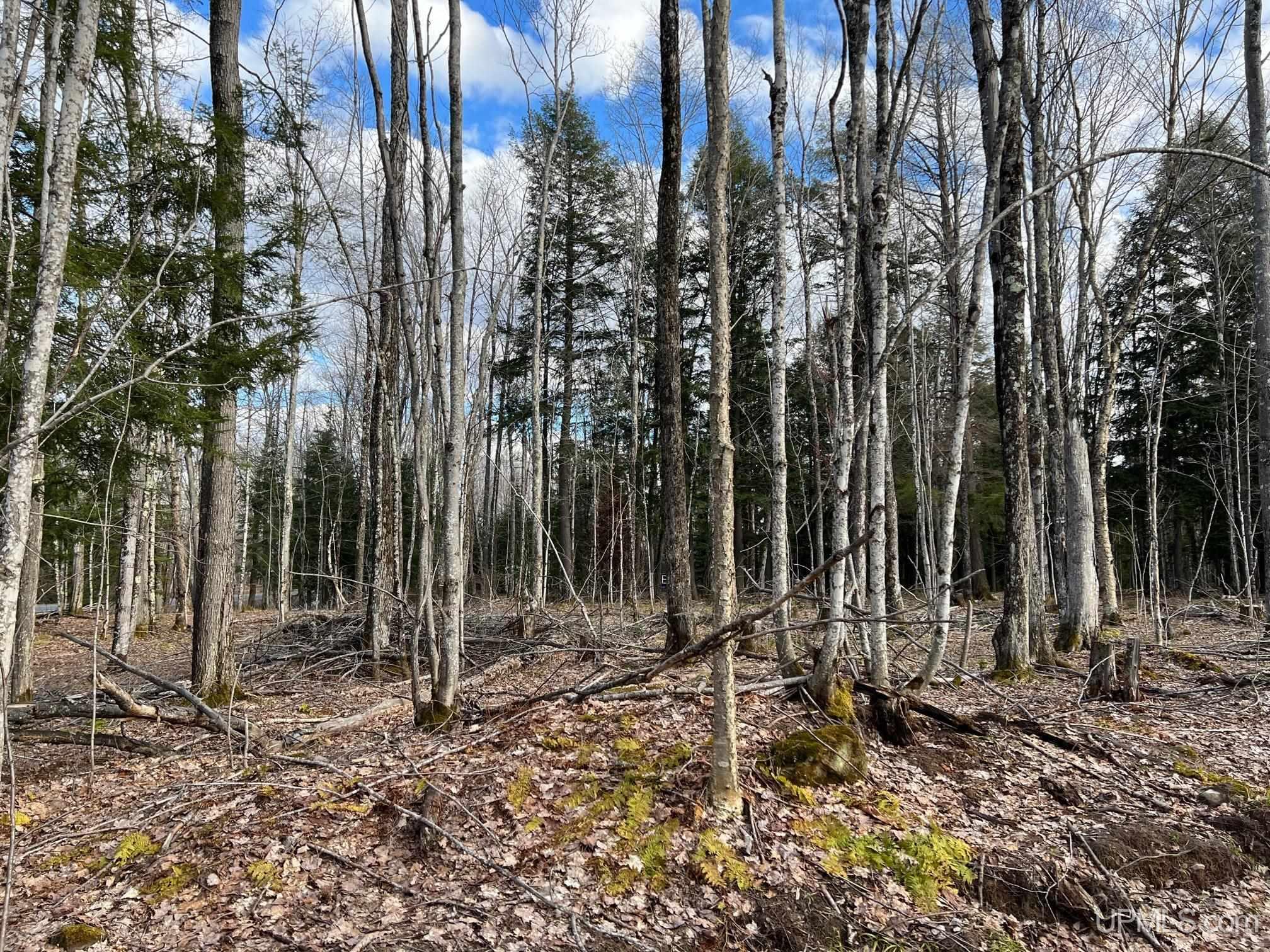 Tbd10 Dog Patch Road, Unit LOT D Lanse, MI 49946 - Photo 6 of 15