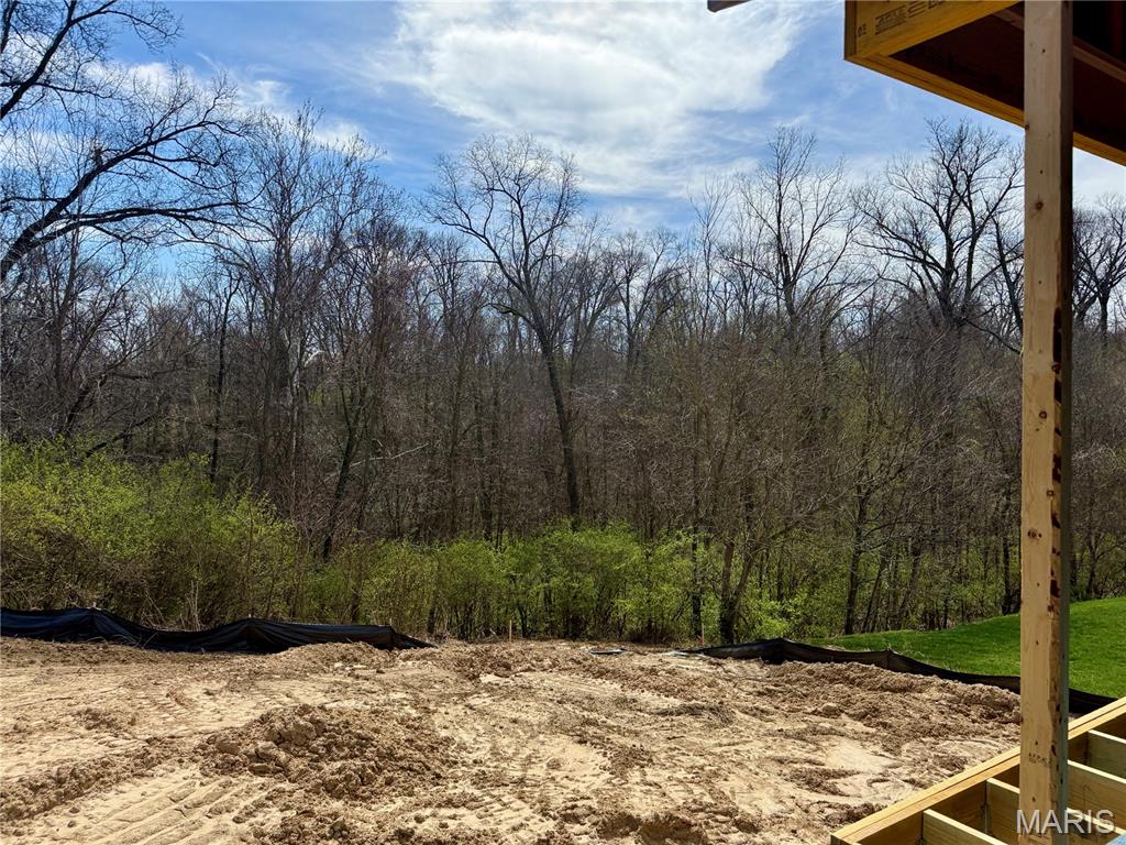 960 Half Moon Lane Caseyville, IL 62232 - Photo 4 of 25