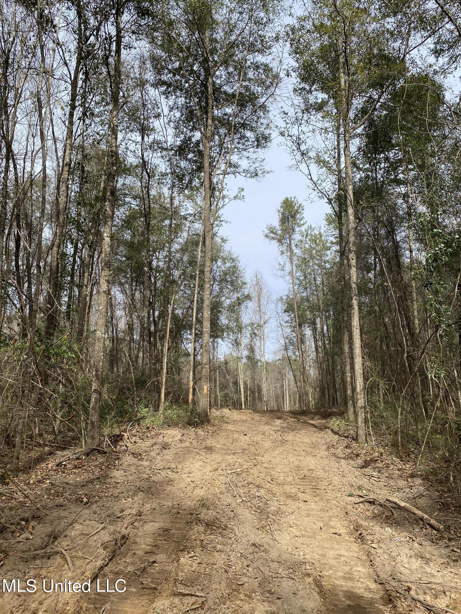 131 Baughman Road Poplarville, MS 39470 - Photo 13 of 15 26
