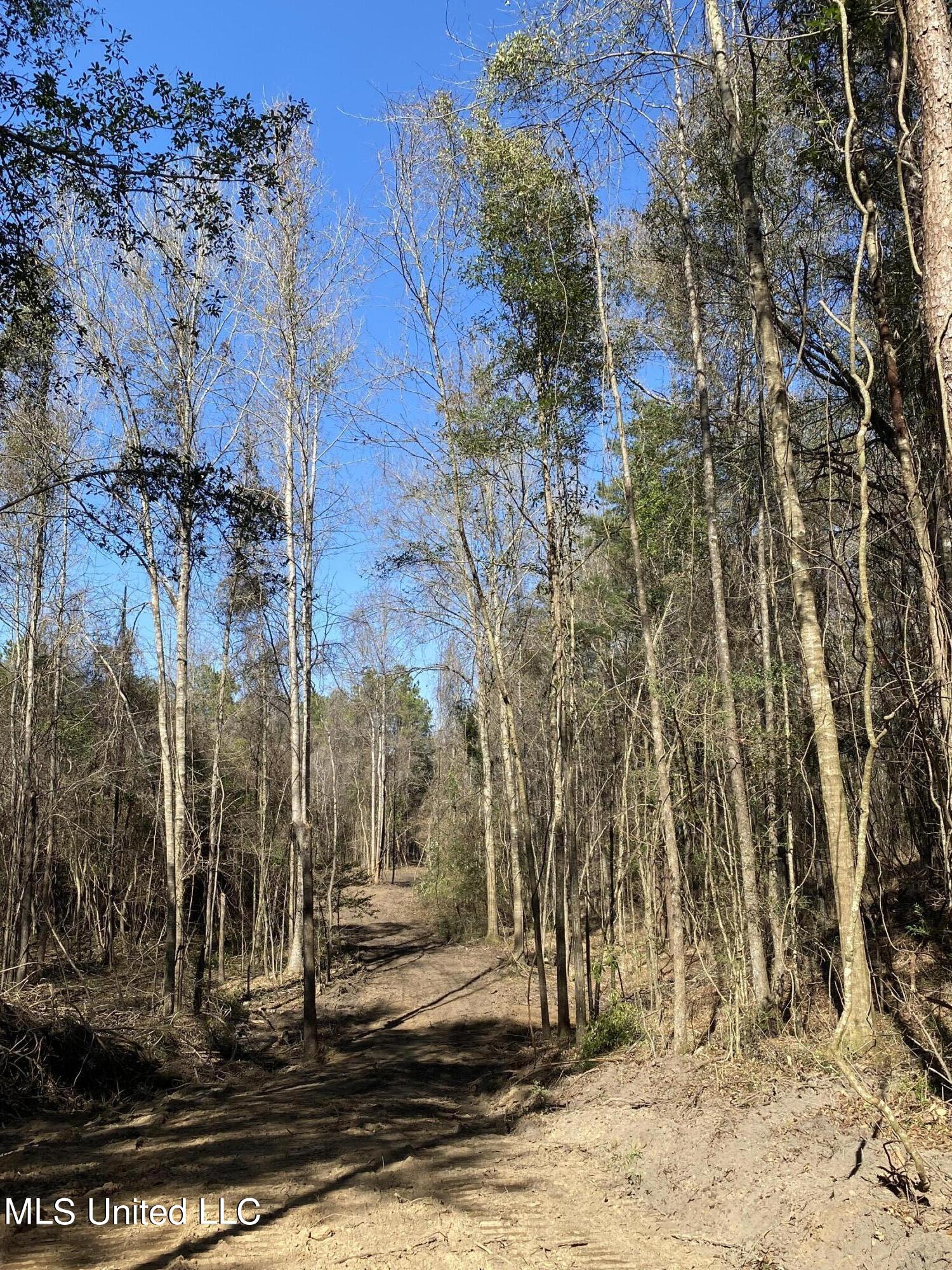 131 Baughman Road Poplarville, MS 39470 - Photo 3 of 15 8