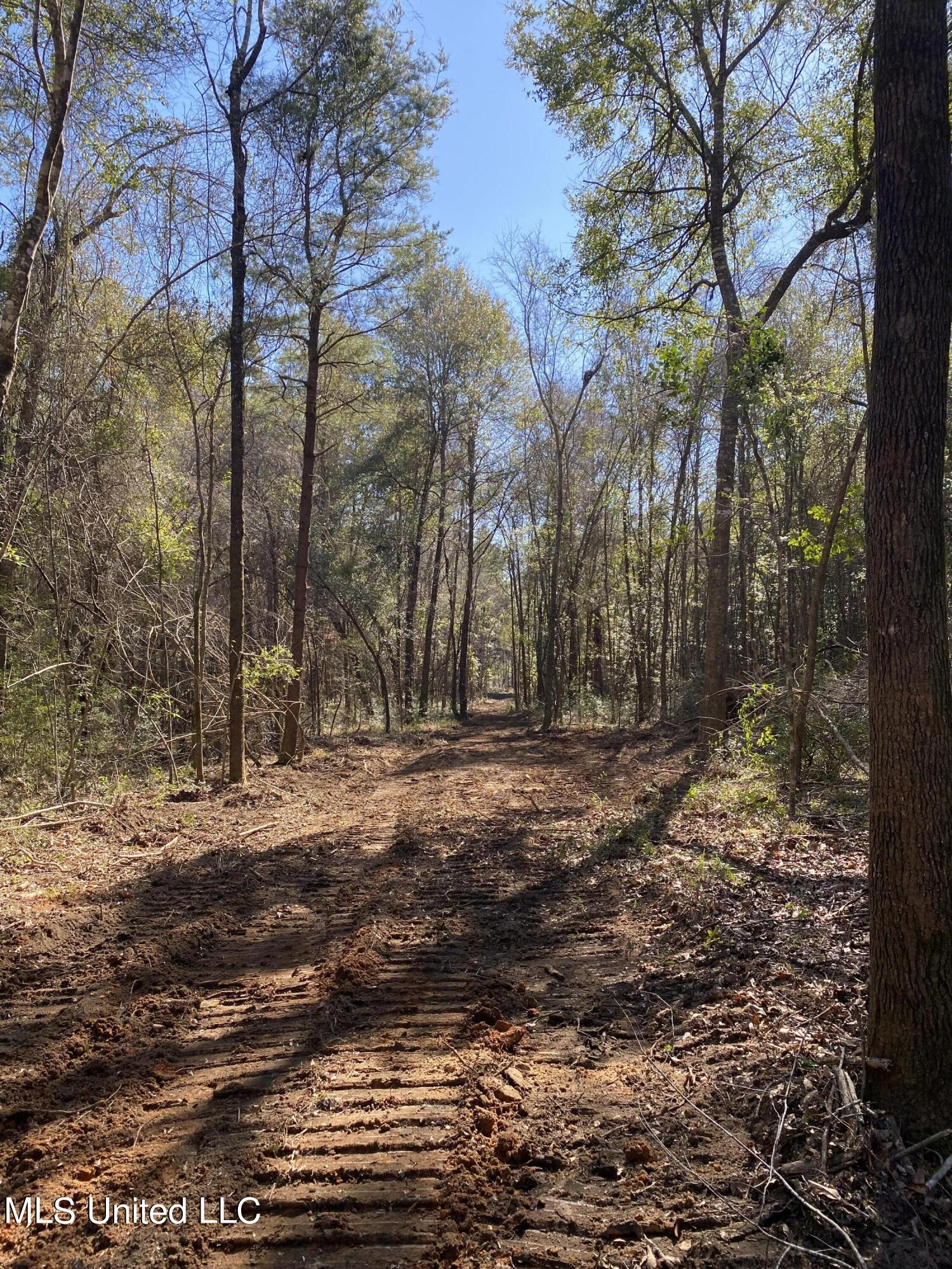 131 Baughman Road Poplarville, MS 39470 - Photo 5 of 15 9