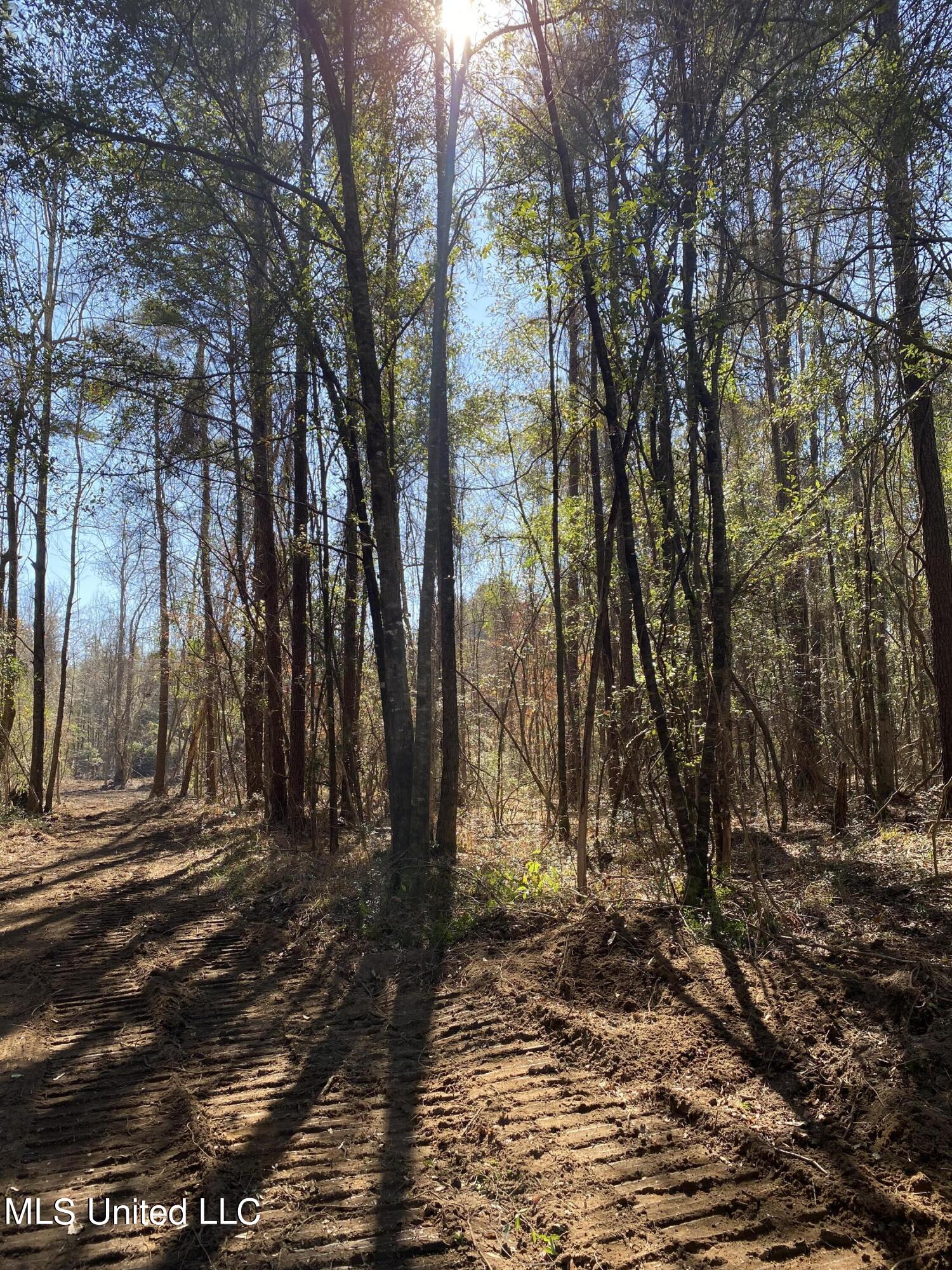 131 Baughman Road Poplarville, MS 39470 - Photo 6 of 15 10