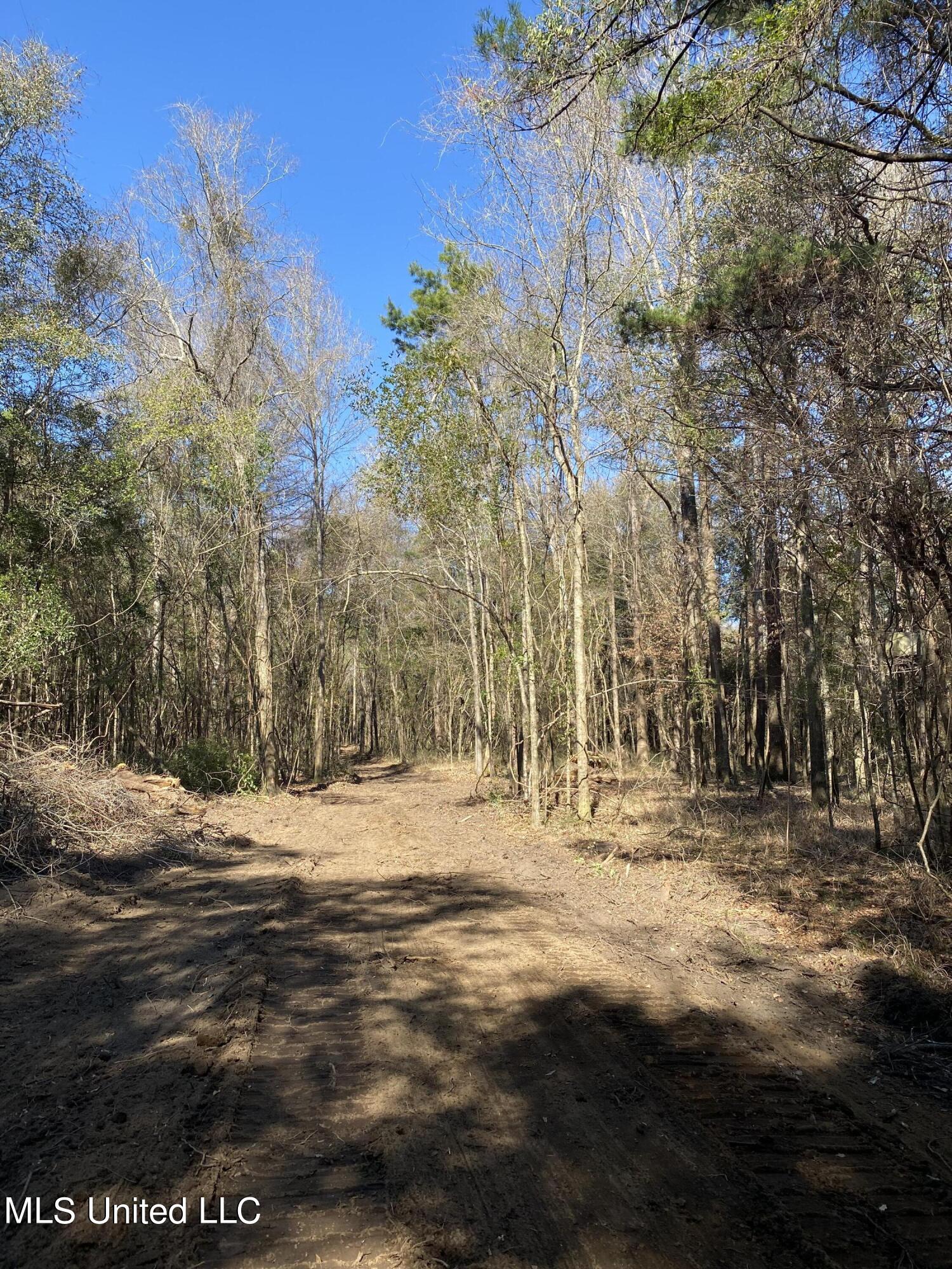 131 Baughman Road Poplarville, MS 39470 - Photo 7 of 15 11
