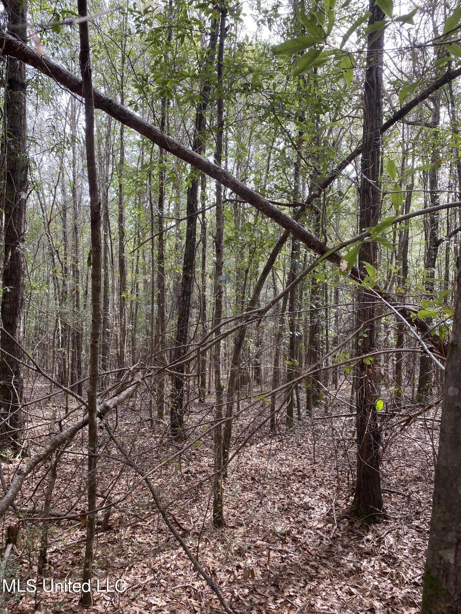 131 Baughman Road Poplarville, MS 39470 - Photo 9 of 15 20
