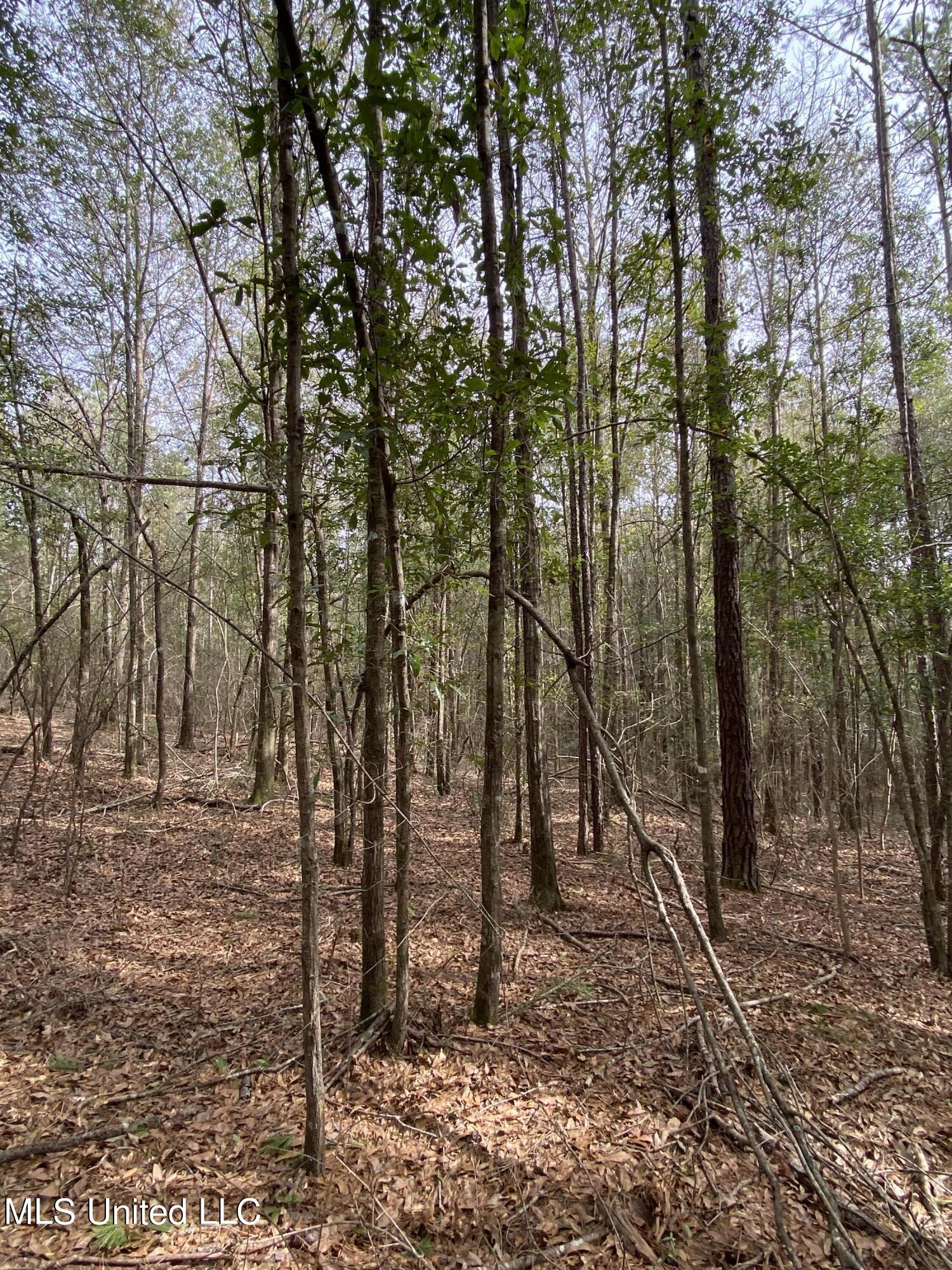 131 Baughman Road Poplarville, MS 39470 - Photo 10 of 15 22