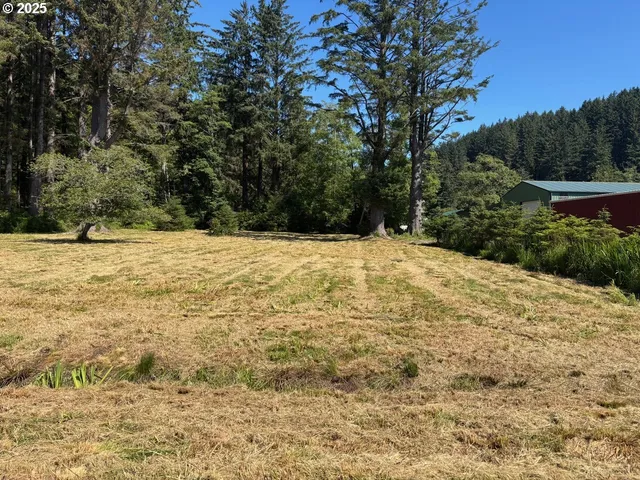 a outdoor space with yard