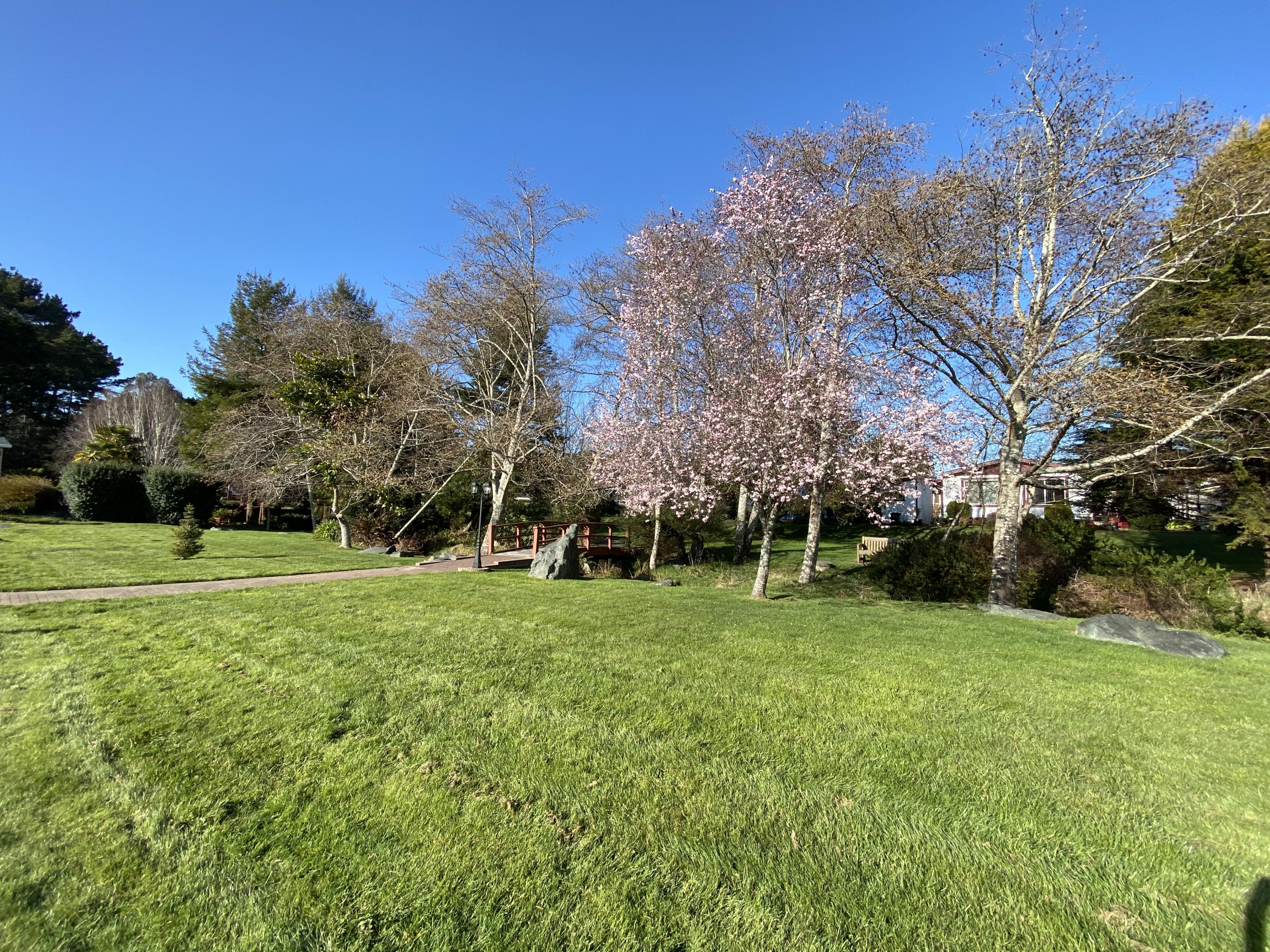 1090 Murray Road, Unit 16 McKinleyville, CA 95519 - Photo 39 of 43