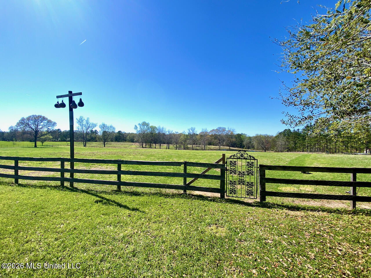1133 Hancock Road Lucedale, MS 39452 - Photo 11 of 71 IMG_8480