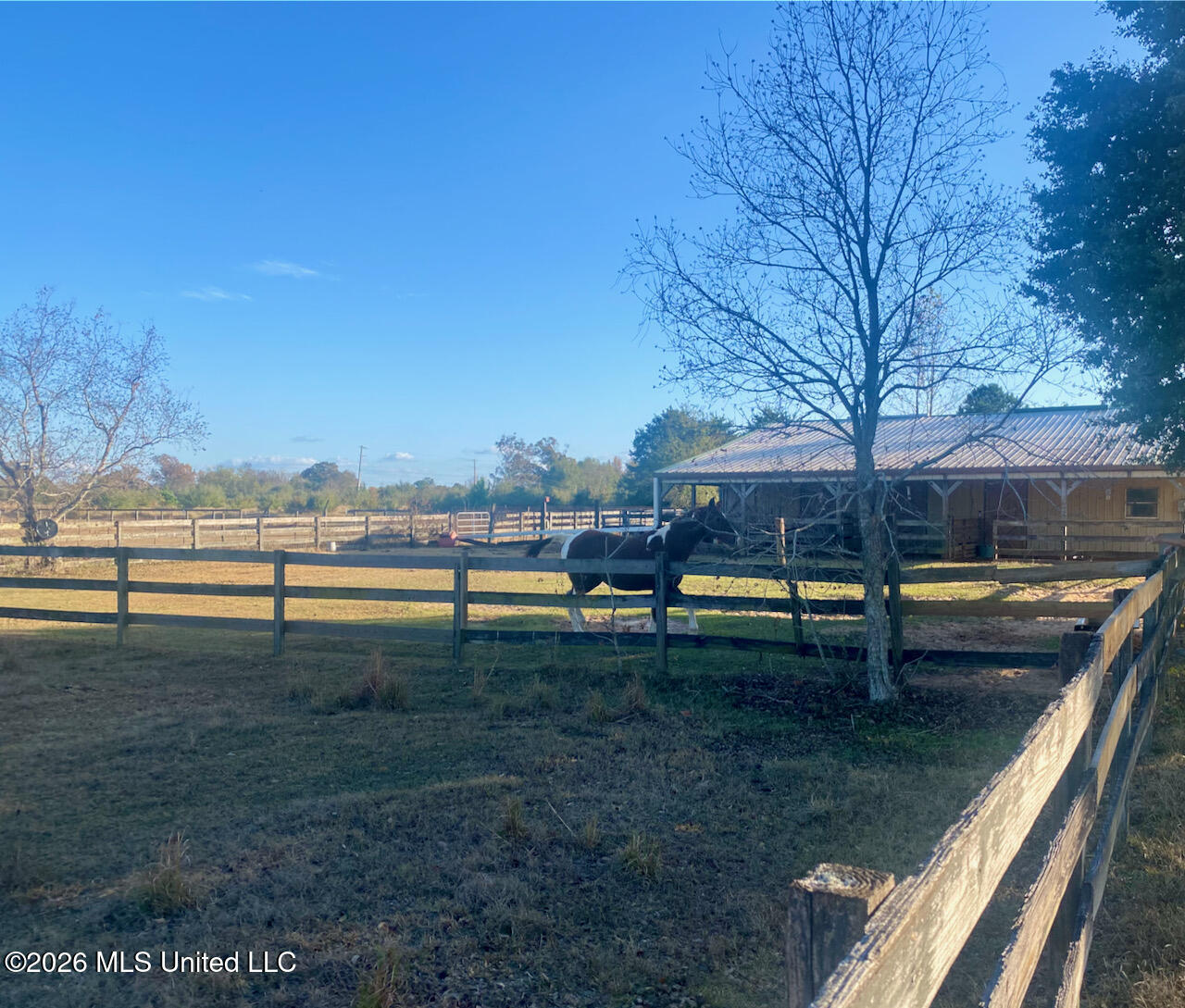 1133 Hancock Road Lucedale, MS 39452 - Photo 16 of 59 IMG_7280