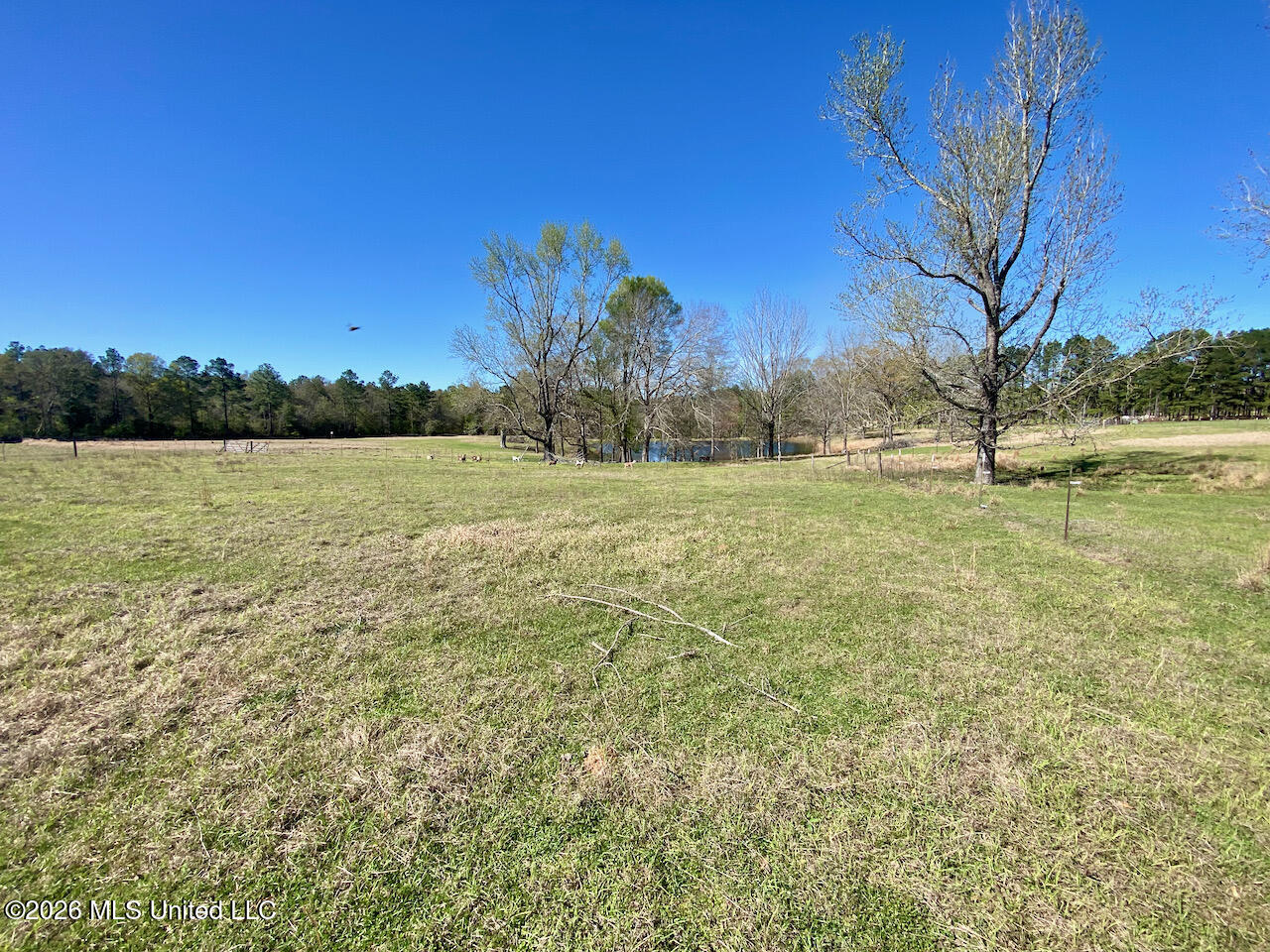 1133 Hancock Road Lucedale, MS 39452 - Photo 19 of 59 IMG_8498
