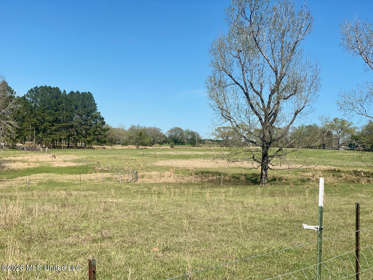1133 Hancock Road Lucedale, MS 39452 - Photo 26 of 59 IMG_8470