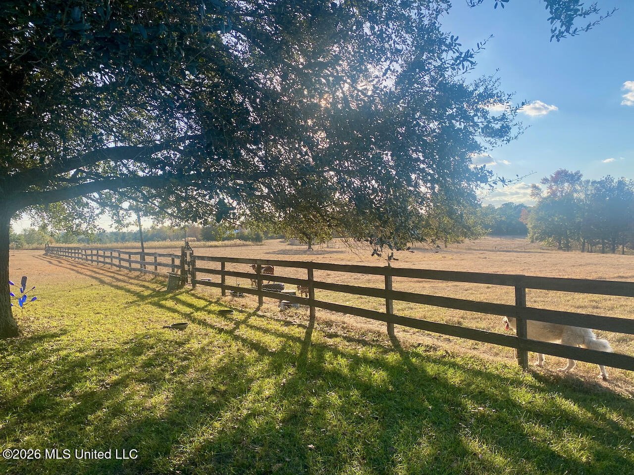 1133 Hancock Road Lucedale, MS 39452 - Photo 29 of 71 IMG_7293
