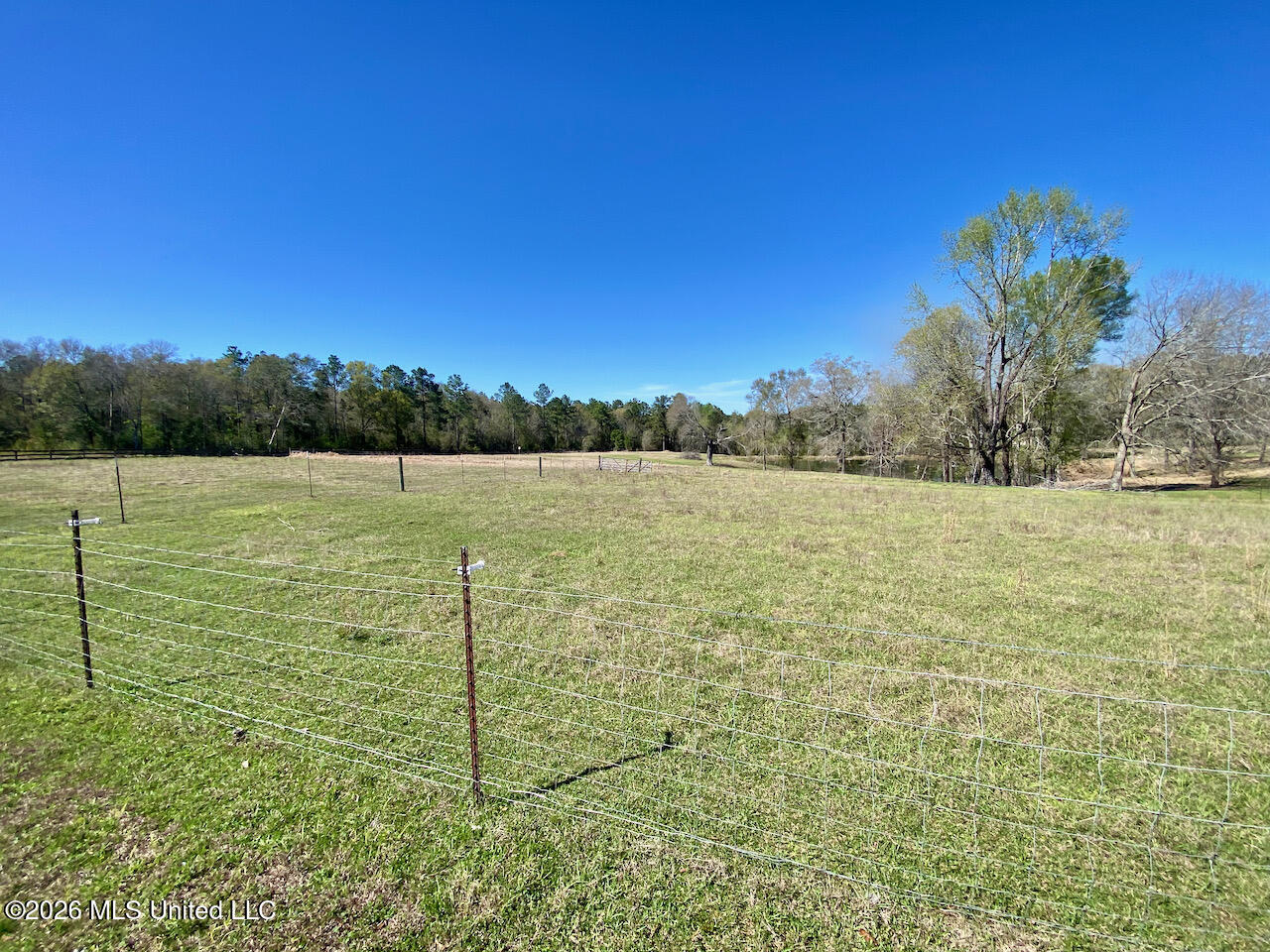 1133 Hancock Road Lucedale, MS 39452 - Photo 31 of 71 IMG_8472