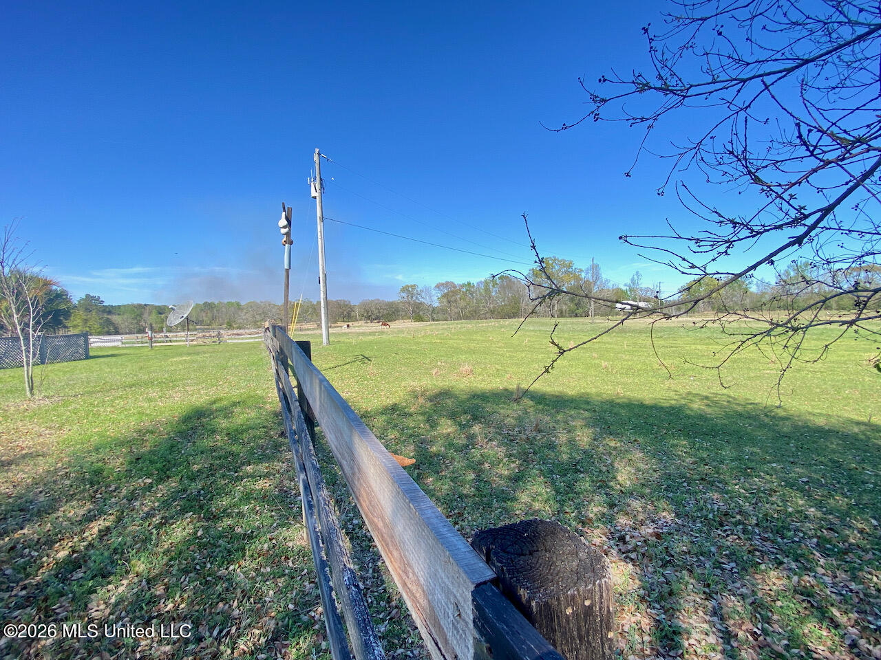 1133 Hancock Road Lucedale, MS 39452 - Photo 31 of 59 IMG_8488