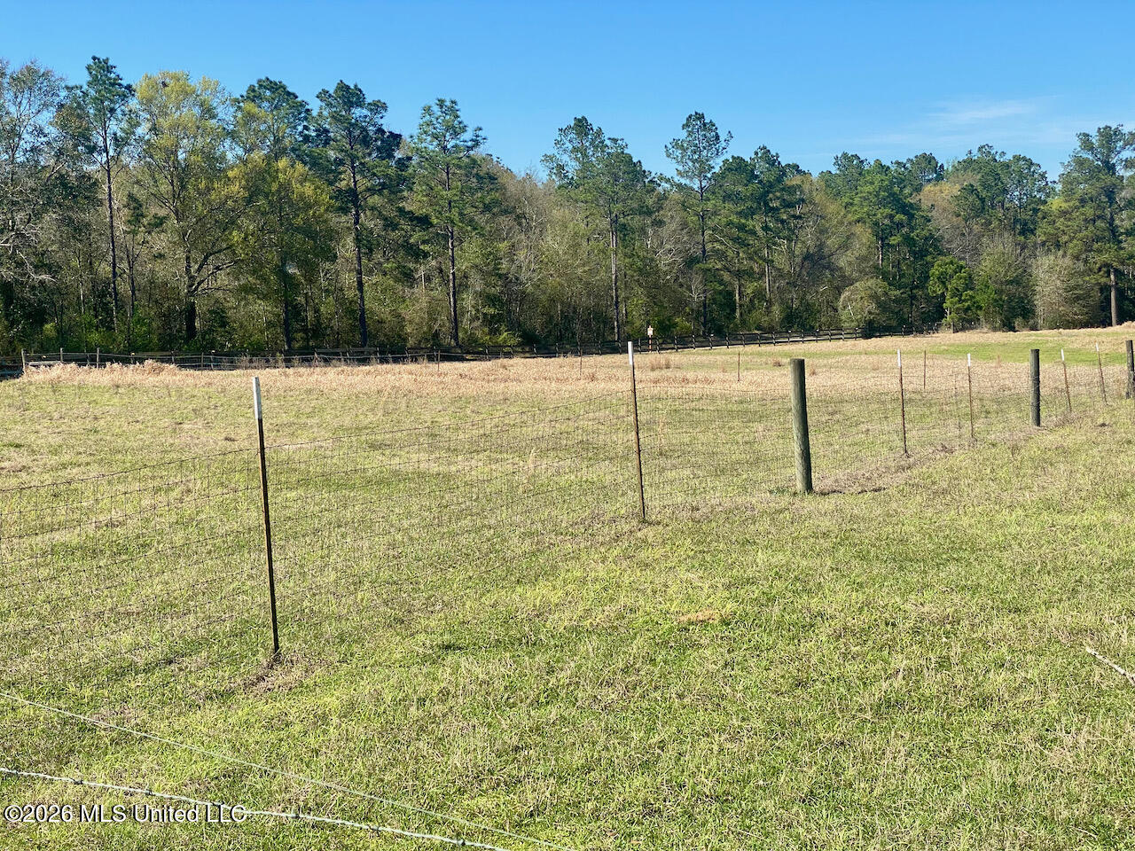 1133 Hancock Road Lucedale, MS 39452 - Photo 37 of 71 IMG_8469