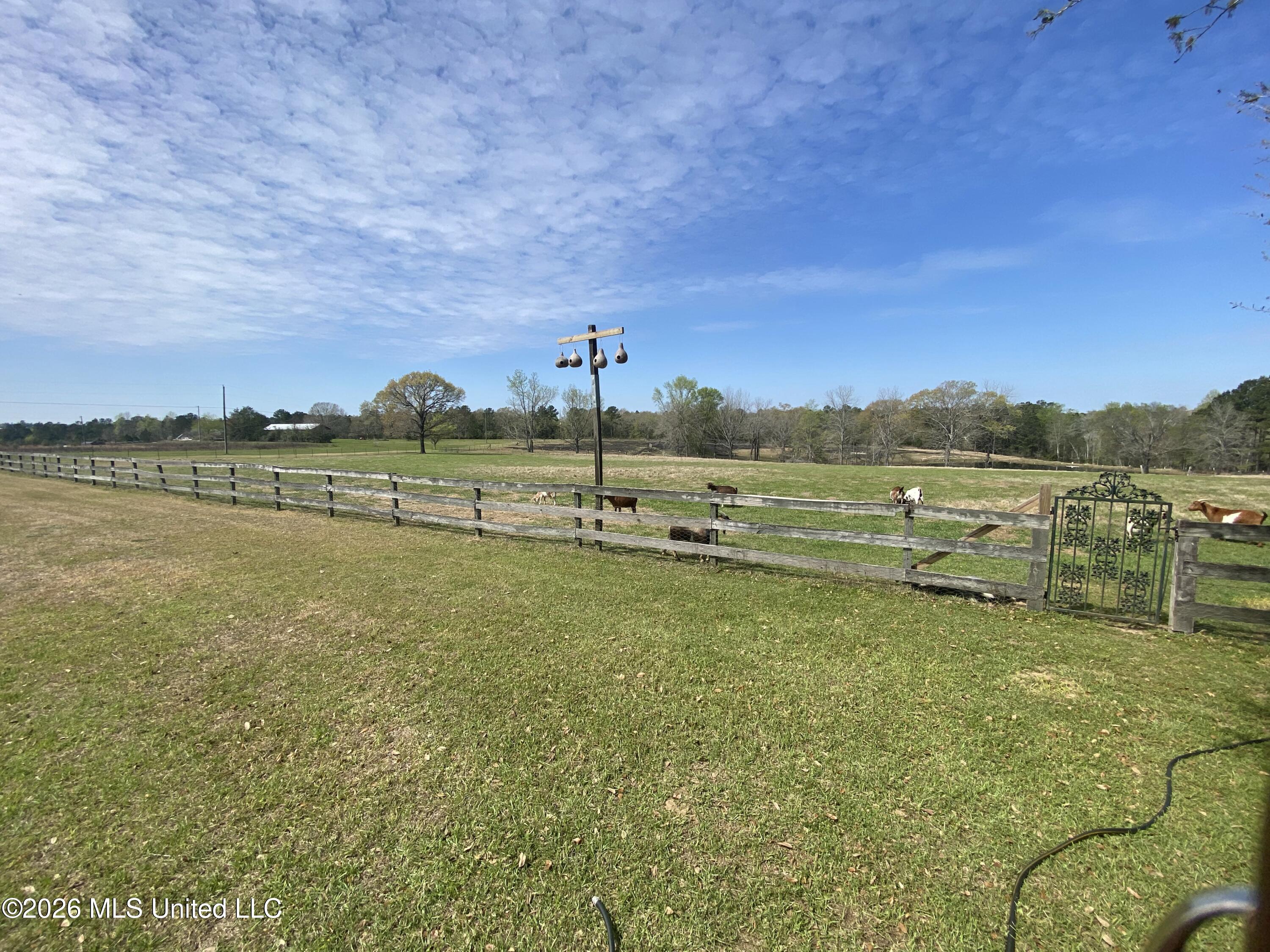 1133 Hancock Road Lucedale, MS 39452 - Photo 42 of 59 IMG_8595