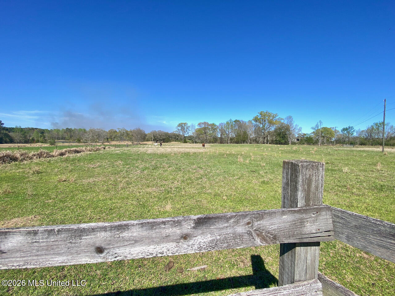 1133 Hancock Road Lucedale, MS 39452 - Photo 44 of 71 IMG_8490