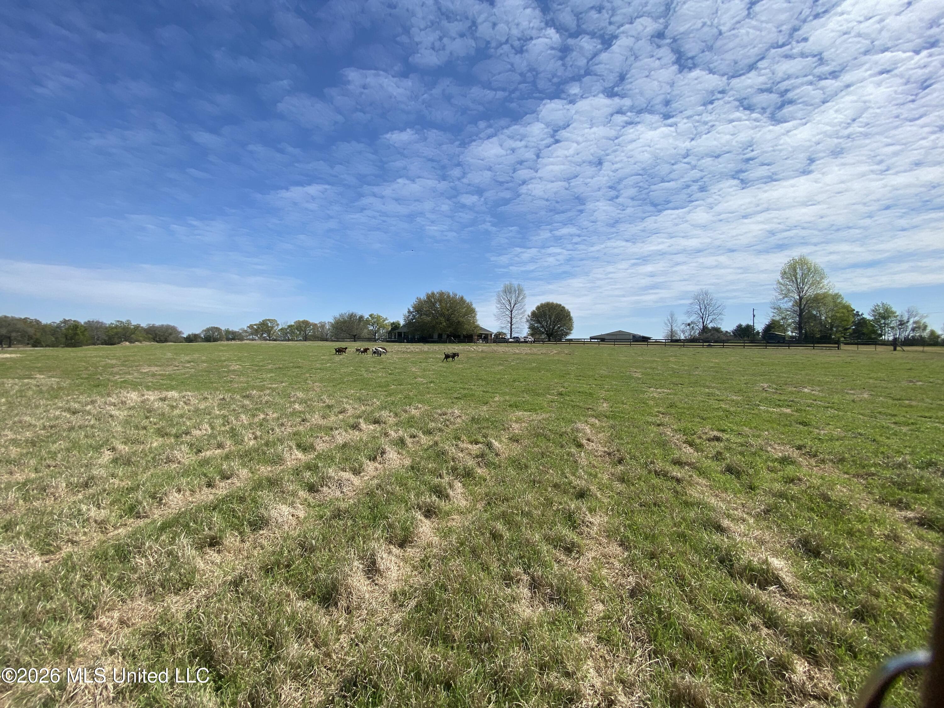 1133 Hancock Road Lucedale, MS 39452 - Photo 62 of 71 IMG_8610