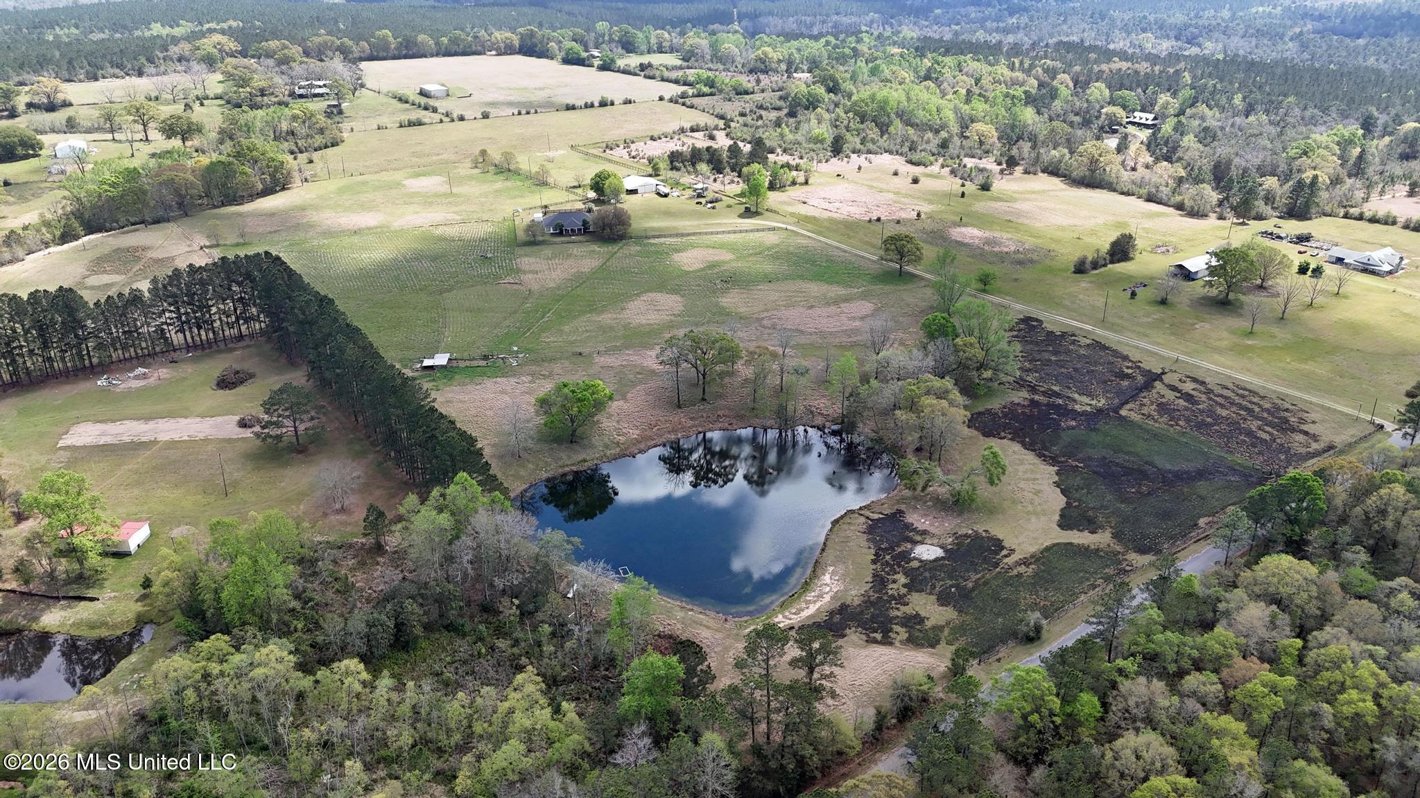 1133 Hancock Road Lucedale, MS 39452 - Photo 9 of 71 004