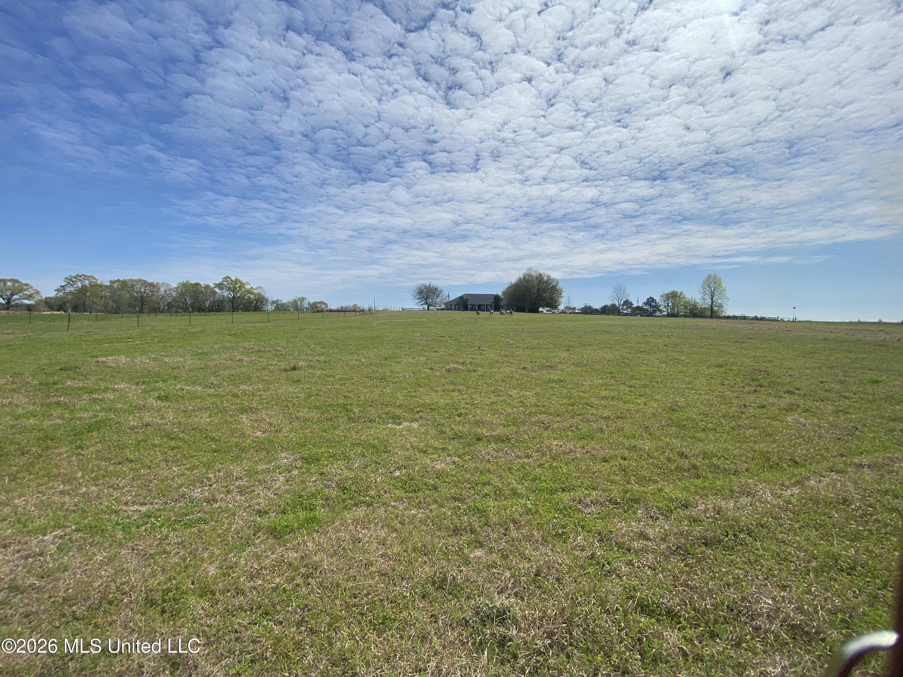 1133 Hancock Road Lucedale, MS 39452 - Photo 10 of 59 IMG_8605
