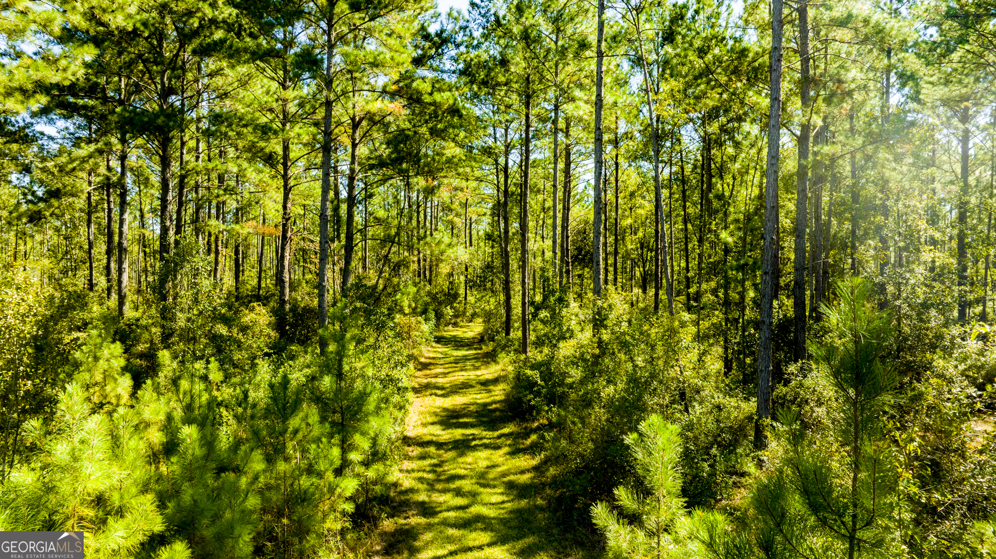 O Bay Branch Church Road Claxton, GA 30417 - Photo 11 of 52