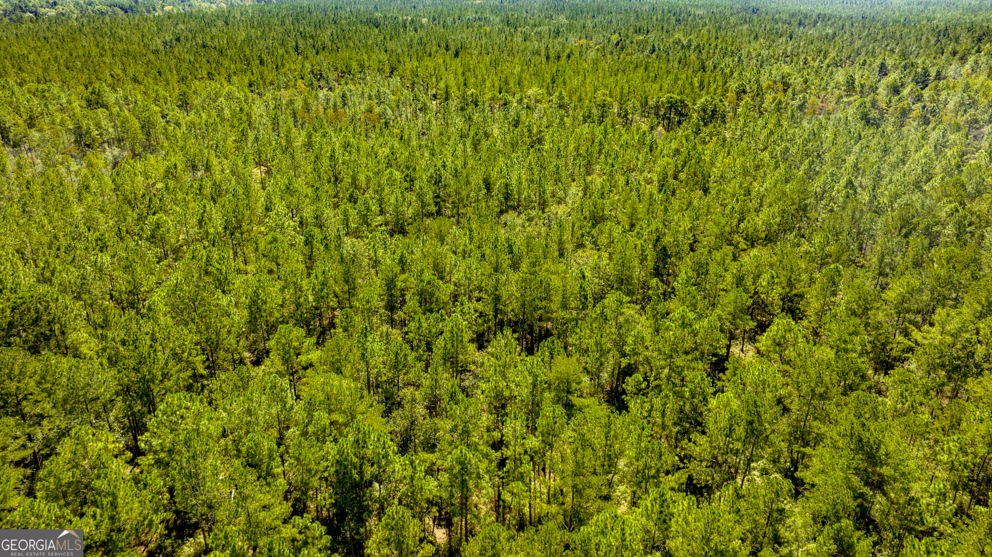 O Bay Branch Church Road Claxton, GA 30417 - Photo 14 of 52